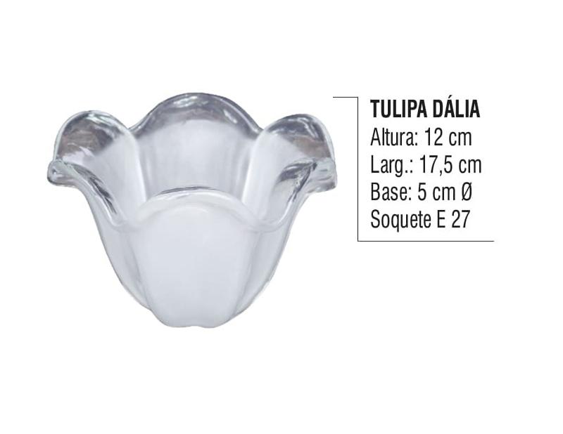 Tulipa Dália
