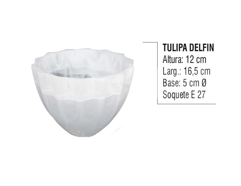 Tulipa Delfin